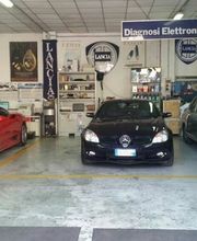 Gallery Cliente