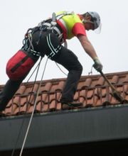 A.R.C.Tec Baumgutachten, Baumpflege Bild 2