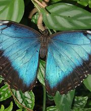 Im-Ein-Klang Körper Geist und Seele Bild 2