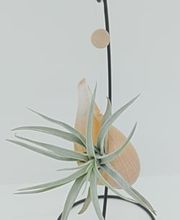 DecoArt Vinya i Mar imagen 6