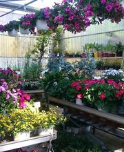 Les Jardins D'Alexandre image 14