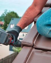 Feron Louis image 19