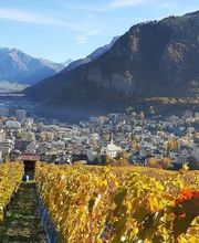 Kellerei Drei Eichen Bild 11