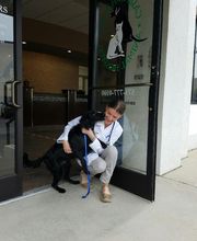 Caring Hands Animal Hospital - Clarendon image 6