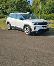 Catherine Taxi image 1