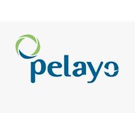 logo-pelayo.PNG