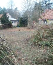 Grundstück von Wildwuchs befreit