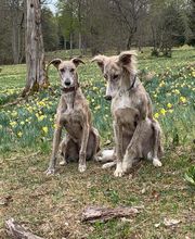 Kleintierpraxis am Bahnhofplatz Bild 5