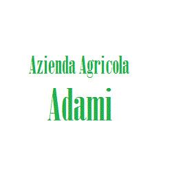 Azienda Agricola Adami logo