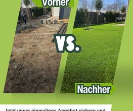 Rasenfox.de Bild 10