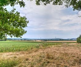 Vom Waldrand aus ergeben sich schöne Aussichten über die Felder der Umgebung.
