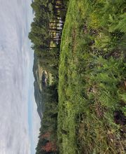 Vallet Paysages image 6