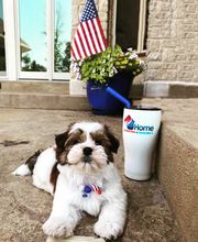 Home Heating & Cooling image 12