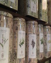 Gallery Cliente