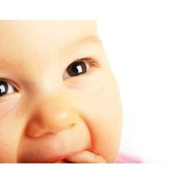 BABY-LAND-Crimmitschau