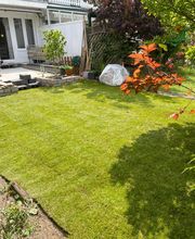 BSG Baumpflege Service Gärtner Bild 11