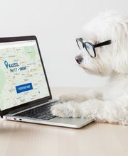 Alisha Schmidt Bild 2