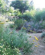 Esprit Jardin image 2