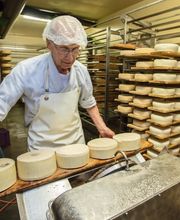 Käserei Stofel AG Bild 4