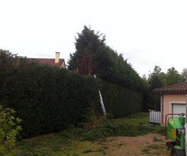Mickaël Emorine image 5