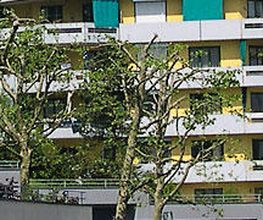 Felber & Weber Immobilien-Treuhand AG Bild 3