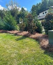 The Pine Needle Man Landscaping LLC image 4