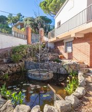 Finques Sant Pol imagen 6