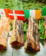 Gallery Professionale