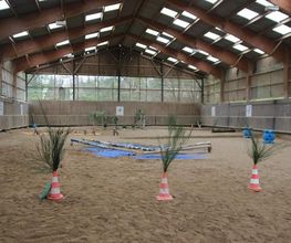 Bessy Equitation image 5