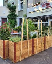 Gartenbau Hoch3 Bild 1