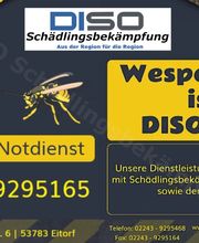 DISO Schädlingsbekämpfung Bild 8