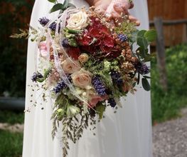 Blumen Schultz Bild 7