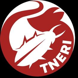 T N E R I