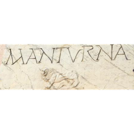 Ristorante Trattoria Manturna logo