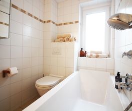 Große Wilde Betten Bild 19