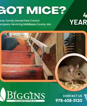 Biggins Exterminating image 16