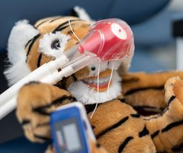 KINDERDENTIST-Praxis Potsdam Bild 5