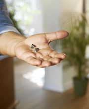 Audífonos invisibles Audika