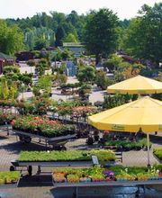 Garten Fockenberg GmbH & Co. KG Bild 2