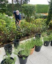 DEA De Angelis Reinigungen GmbH Bild 12