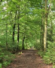 FriedWald Bremer Schweiz Bild 11