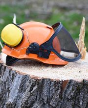 Happytree Baumpflege Lenzin Bild 3