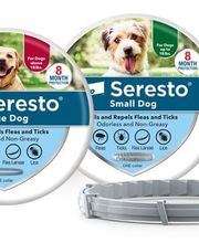 Petsense by Tractor Supply image 11