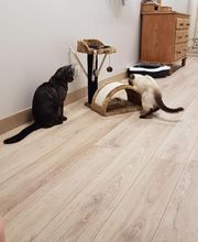 Pattenrond & Cie image 20