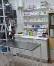 Clínica Veterinaria Manoteras imagen 9