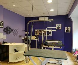 Espace canin image 9