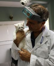 Borash Veterinary Clinic image 8