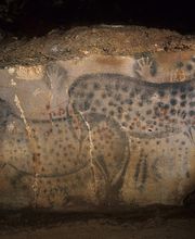 Grotte du Pech Merle image 2