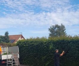 Heldebaume Elagage image 13