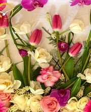 Amiguet Pompes Funèbres Sàrl Bild 9